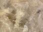 Preview: Bertrandite